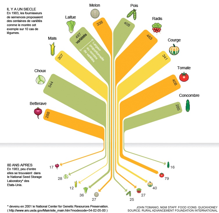 Arbre de la diversité alimentaire