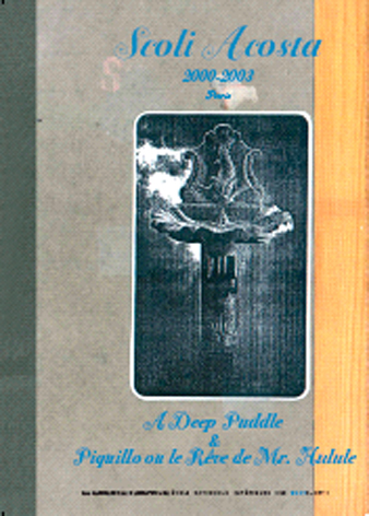 Couverture A Deep Puddle